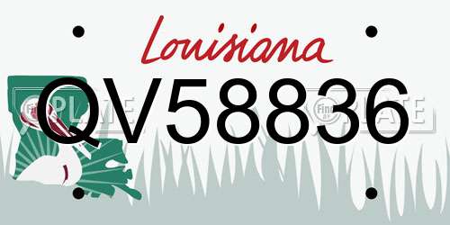 QV58836 Louisiana License Plate