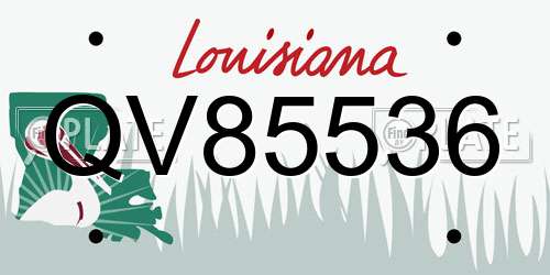 QV85536 Louisiana License Plate