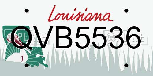 QVB5536 Louisiana License Plate