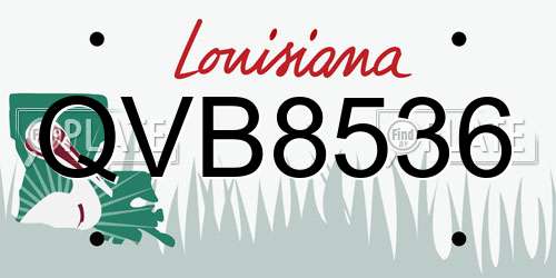 QVB8536 Louisiana License Plate