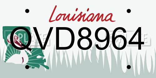 QVD8964 Louisiana License Plate