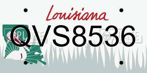 QVS8536 Louisiana License Plate