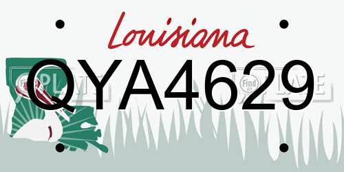 QYA4629 Louisiana License Plate