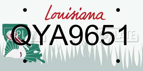 QYA9651 Louisiana License Plate