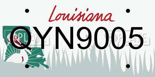 QYN9005 Louisiana License Plate