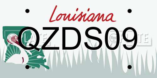 QZDS09 Louisiana License Plate