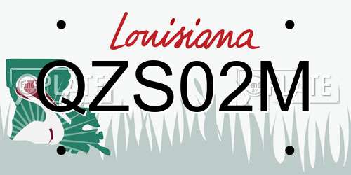 QZS02M Louisiana License Plate