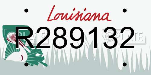 R289132 Louisiana License Plate