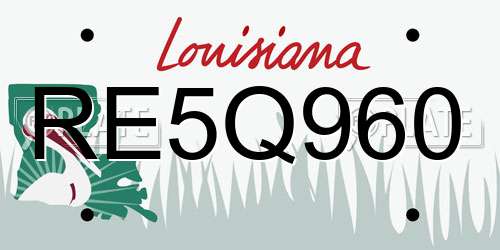 RE5Q960 Louisiana License Plate
