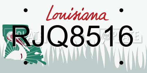 RJQ8516 Louisiana License Plate
