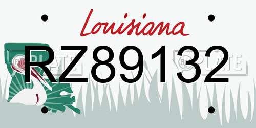 RZ89132 Louisiana License Plate