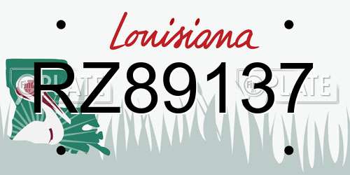 RZ89137 Louisiana License Plate