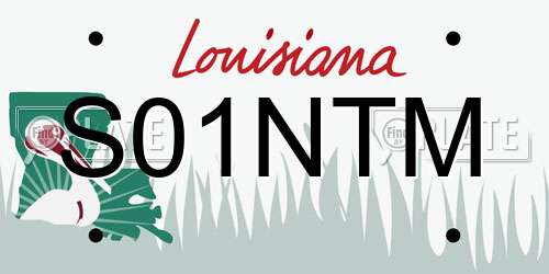 S01NTM Louisiana License Plate