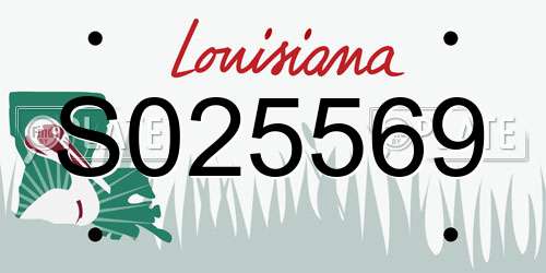 S025569 Louisiana License Plate
