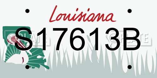 S17613B Louisiana License Plate