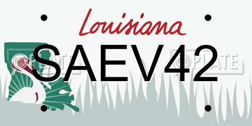 SAEV42 Louisiana License Plate