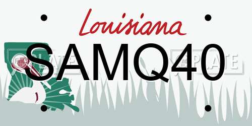 SAMQ40 Louisiana License Plate