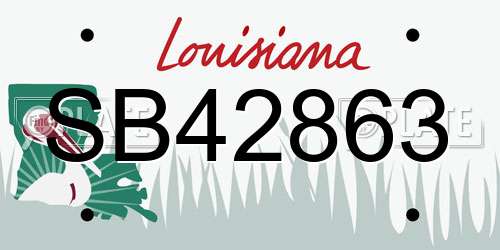 SB42863 Louisiana License Plate