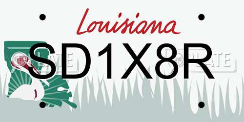 SD1X8R Louisiana License Plate