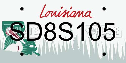 SD8S105 Louisiana License Plate