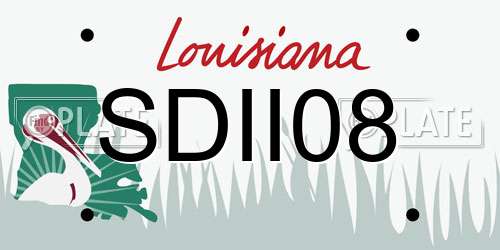 SDII08 Louisiana License Plate