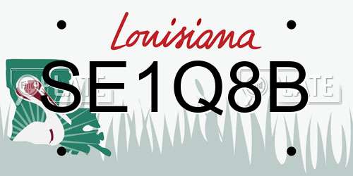 SE1Q8B Louisiana License Plate