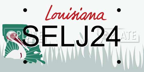 SELJ24 Louisiana License Plate