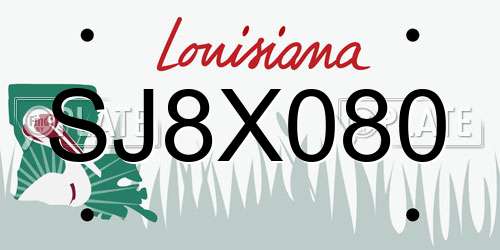 SJ8X080 Louisiana License Plate