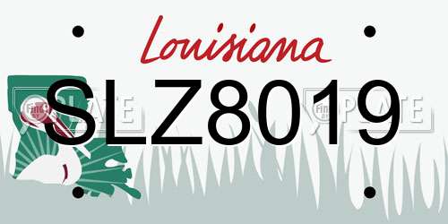 SLZ8019 Louisiana License Plate