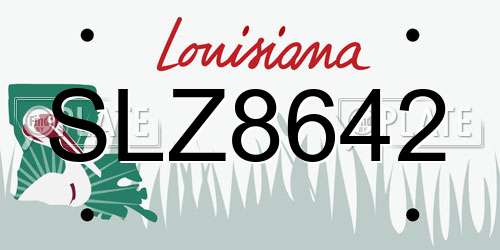 SLZ8642 Louisiana License Plate