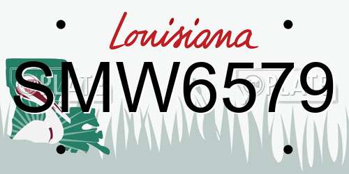 SMW6579 Louisiana License Plate