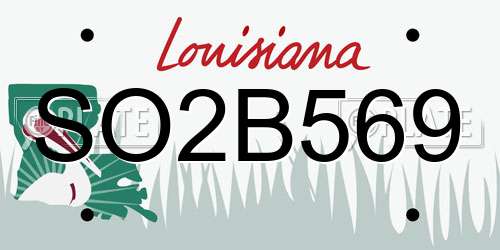 SO2B569 Louisiana License Plate