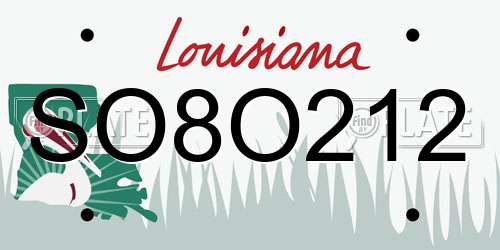 SO8O212 Louisiana License Plate