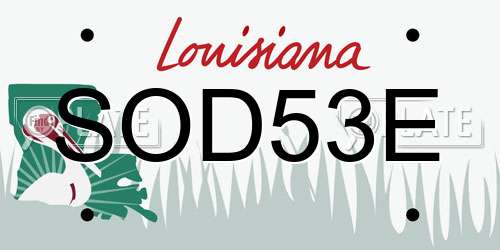 SOD53E Louisiana License Plate