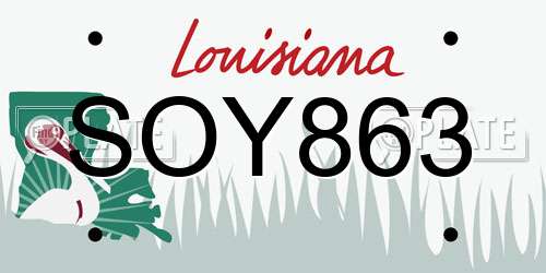 SOY863 Louisiana License Plate