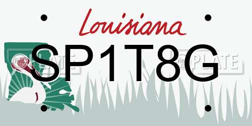 SP1T8G Louisiana License Plate