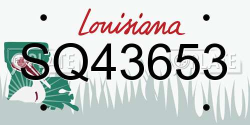 SQ43653 Louisiana License Plate