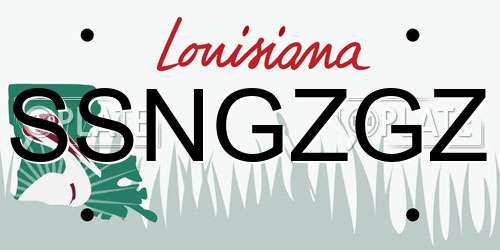 SSNGZGZ Louisiana License Plate