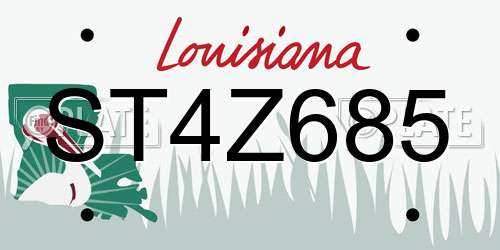 ST4Z685 Louisiana License Plate