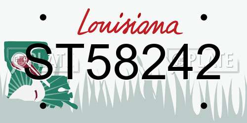 ST58242 Louisiana License Plate