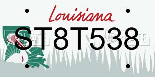 ST8T538 Louisiana License Plate