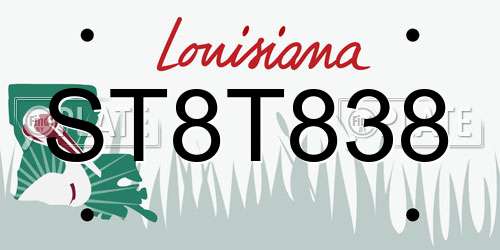 ST8T838 Louisiana License Plate