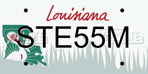 STE55M Louisiana License Plate