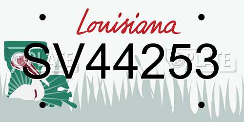 SV44253 Louisiana License Plate