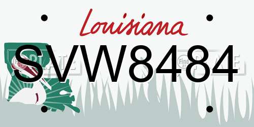 SVW8484 Louisiana License Plate