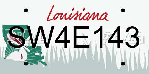 SW4E143 Louisiana License Plate