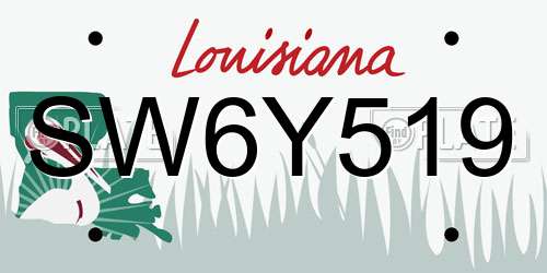 SW6Y519 Louisiana License Plate