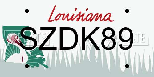 SZDK89 Louisiana License Plate