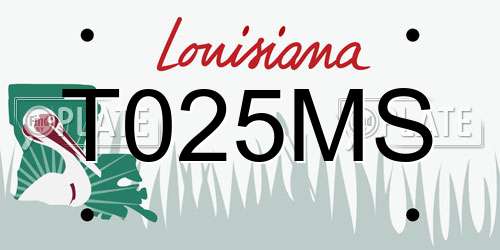 T025MS Louisiana License Plate