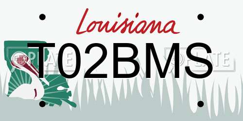 T02BMS Louisiana License Plate